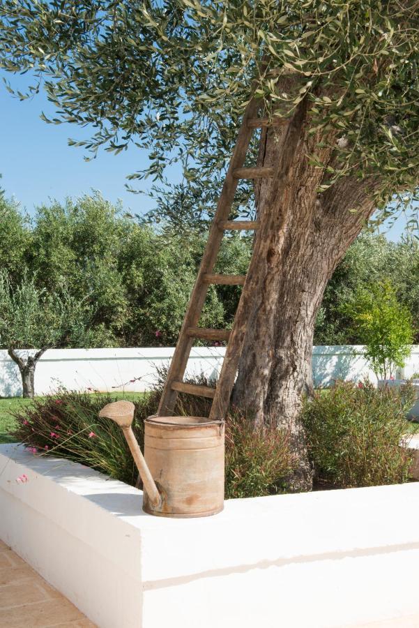 Masseria Le Torri 폴리나노 아마레 외부 사진