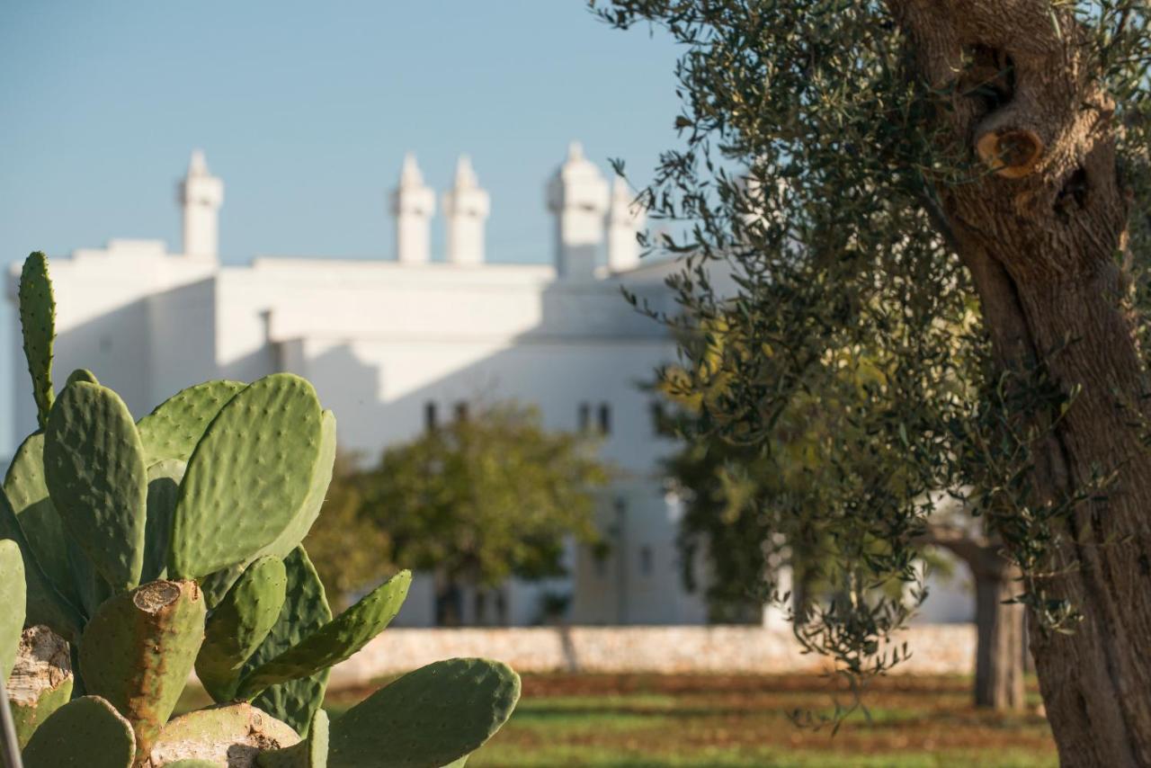 Masseria Le Torri 폴리나노 아마레 외부 사진